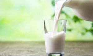Toned Milk