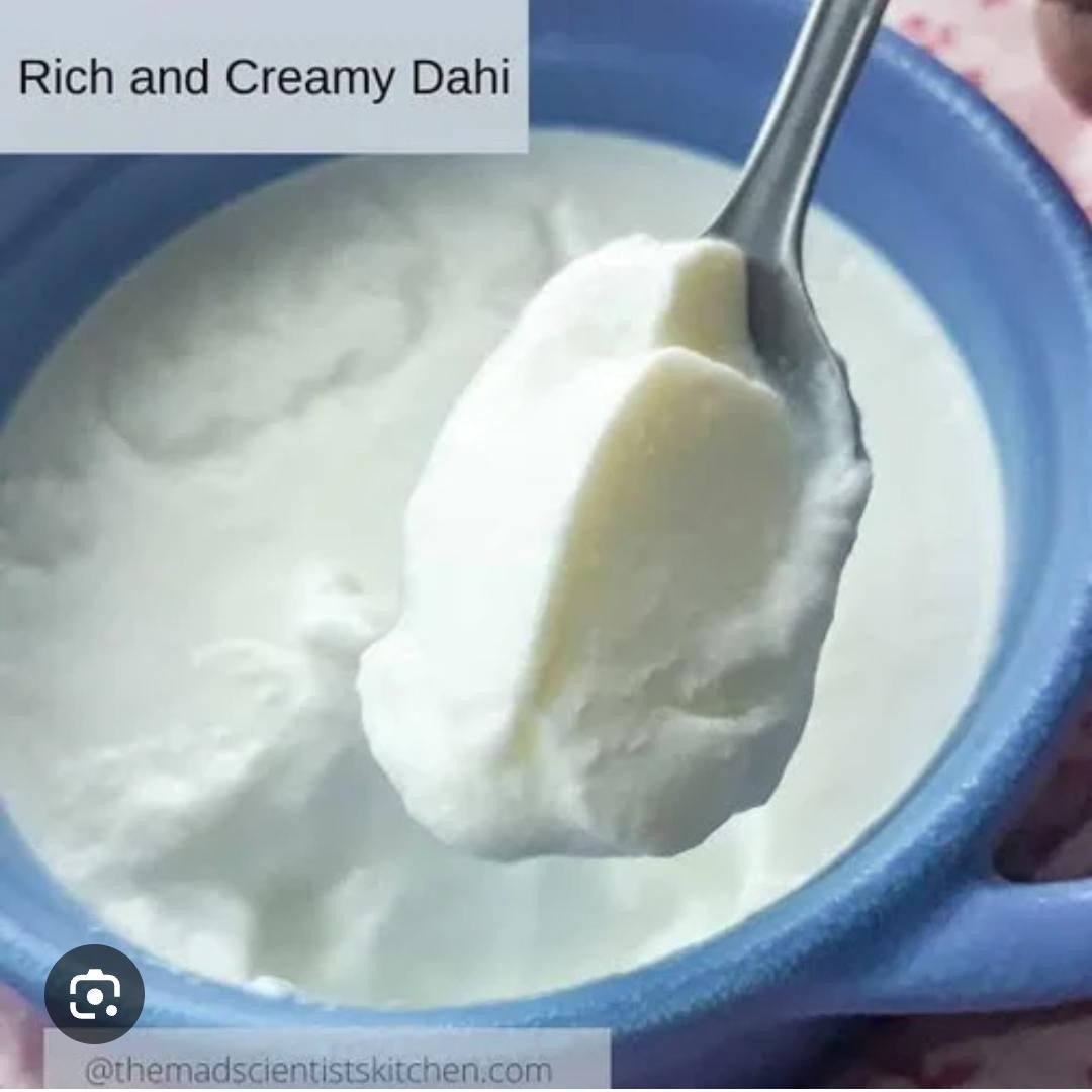 KHATTA DAHI