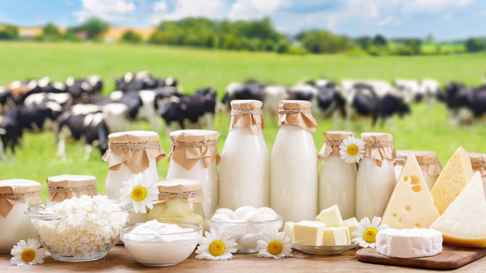 Dairy Quality