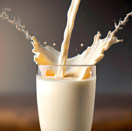 Fresh Milk