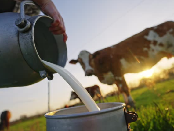 Milk Quality Testing